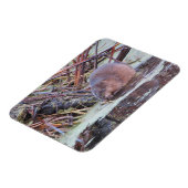 Muskrat Magneet (Linkerzijde)
