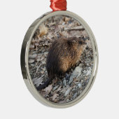 Muskrat Metalen Ornament (Rechts)