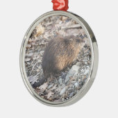 Muskrat Metalen Ornament (Links)