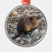 Muskrat Metalen Ornament (Voorkant)