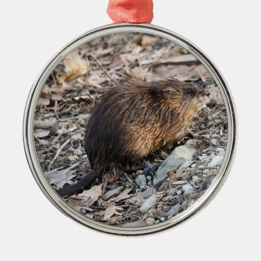 Muskrat Metalen Ornament (Voorkant)