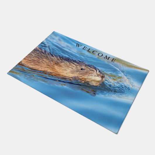 Muskrat op Vassar Boerderijen Ecological Preserve Deurmat (Schuin)