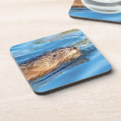 Muskrat op Vassar Boerderijen Ecological Preserve Drankjes Onderzetter (Linkerzijde)