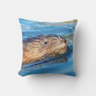 Muskrat op Vassar Boerderijen Ecological Preserve Kussen