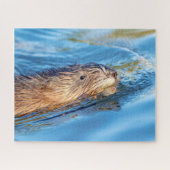 Muskrat op Vassar Boerderijen Ecological Preserve Legpuzzel (Horizontaal)