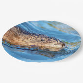 Muskrat op Vassar Boerderijen Ecological Preserve Papieren Bordje (Gekanteld)