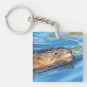 Muskrat op Vassar Boerderijen Ecological Preserve Sleutelhanger