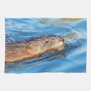 Muskrat op Vassar Boerderijen Ecological Preserve Theedoek