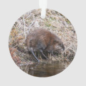 Muskrat Ornament (achterkant)