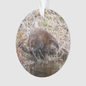 Muskrat Ornament (voorkant)