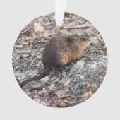 Muskrat Ornament (voorkant)