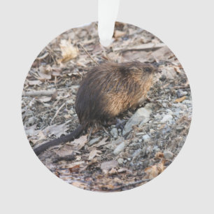 Muskrat Ornament