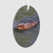 Muskrat Ornament (voorkant)