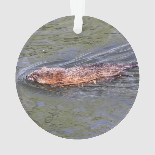 Muskrat Ornament (achterkant)