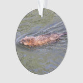 Muskrat Ornament (voorkant)