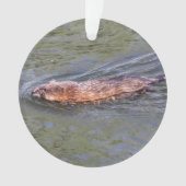 Muskrat Ornament (voorkant)
