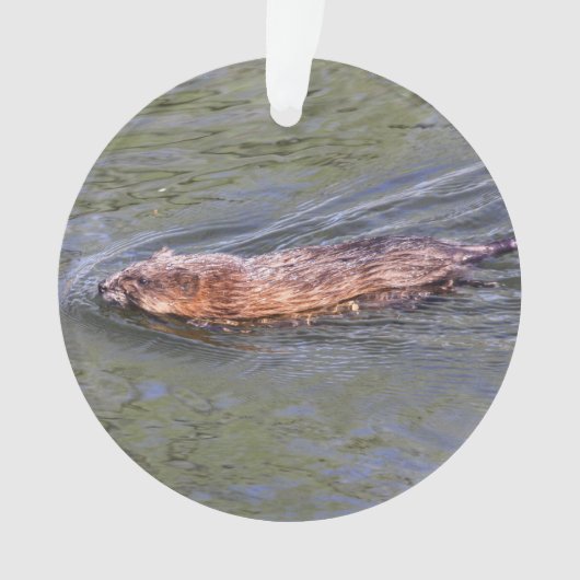 Muskrat Ornament (voorkant)