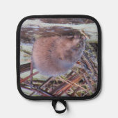 Muskrat Pannenlap (Voorkant)