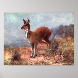 Muskus Hert door CE Swan, Vintage Wilde Dieren Poster
