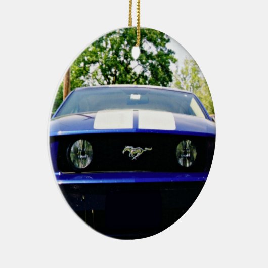 Muskusauto- blauw Ornament (Rechts)