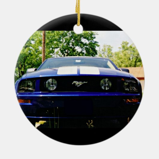 Muskusauto- blauw Ornament (Achterkant)