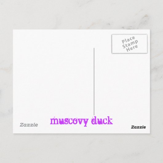 muskuseend briefkaart (Achterkant)