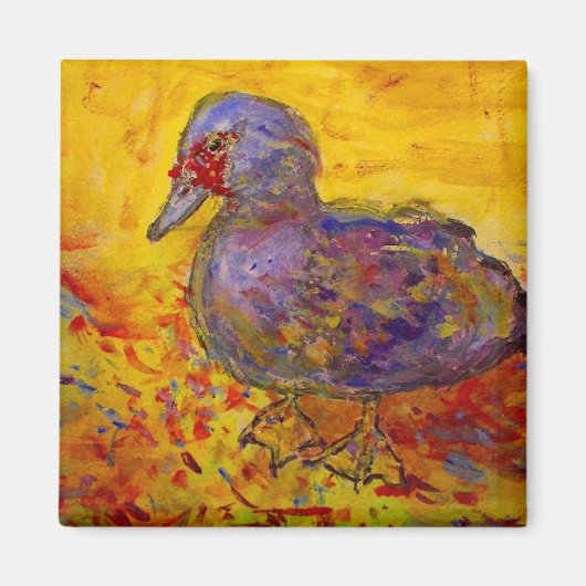 muskuseend magneet (Voorkant)