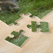 Muskusmossen en -schilfers legpuzzel (Zijkant)