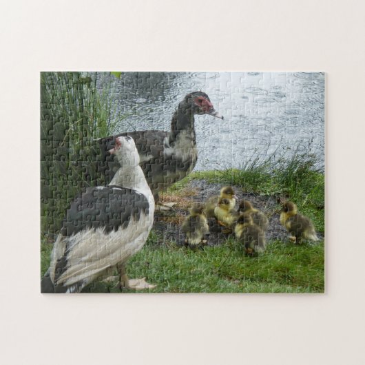 Muskusmossen en -schilfers legpuzzel (Horizontaal)