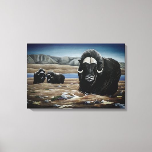 Muskusos Schildering Canadese Wilde Dieren Canvas  Afdruk (Voorkant)