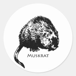 Muskusrat (illustratie) ronde sticker