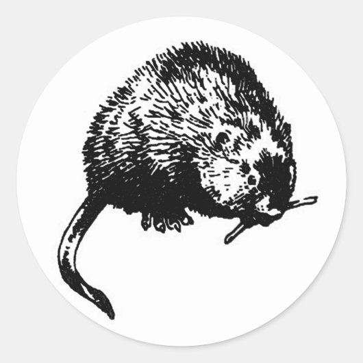 Muskusrat (illustratie) ronde sticker (Voorkant)