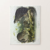 Muskusrat van Audubon's Quadrupeds van Noord-Ameri Legpuzzel (Verticaal)