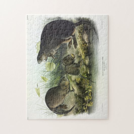 Muskusrat van Audubon's Quadrupeds van Noord-Ameri Legpuzzel (Verticaal)