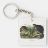 Muskusrat van Audubon's Quadrupeds van Noord-Ameri Sleutelhanger (Voorkant)
