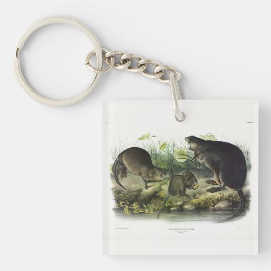 Muskusrat van Audubon's Quadrupeds van Noord-Ameri Sleutelhanger (Voorkant)