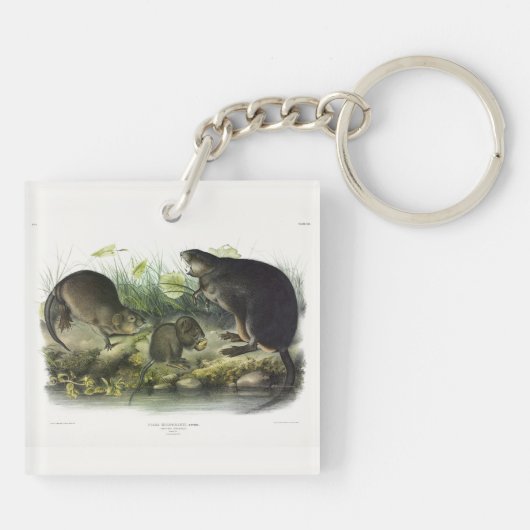 Muskusrat van Audubon's Quadrupeds van Noord-Ameri Sleutelhanger (Achterkant)