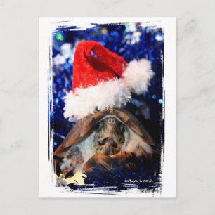 Muskusschildpad mond open kerstmuts kerstfoto feestdagenkaart