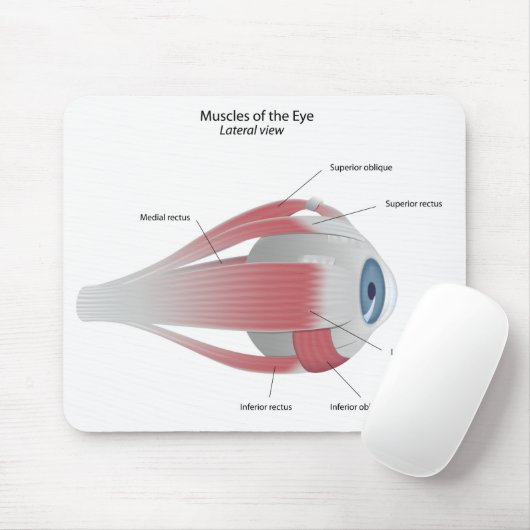 Muskussens van de Oogkever Muismat (Met muis)