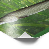 Musky Foto Afdruk (Hoek)