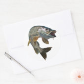 Musky hunter 7 ronde sticker (Envelop)