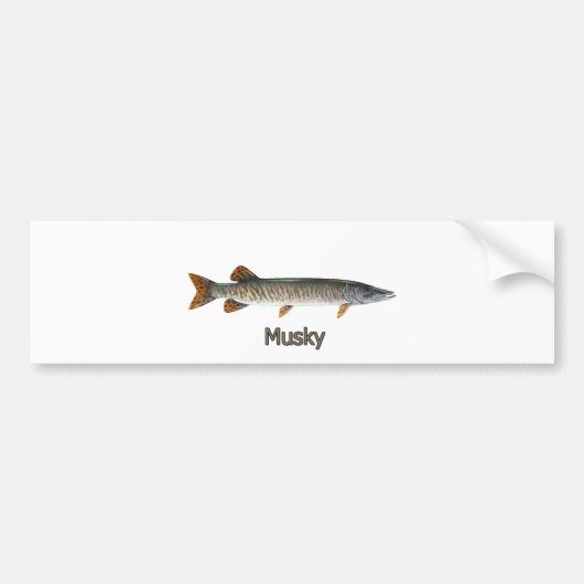 Musky Logo (getiteld) Bumpersticker (Voorkant)