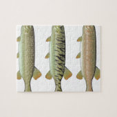 Musky Tiger musky and Northern Pike vector Legpuzzel (Horizontaal)