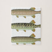 Musky Tiger musky and Northern Pike vector Legpuzzel (Verticaal)