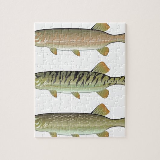 Musky Tiger musky and Northern Pike vector Legpuzzel (Verticaal)