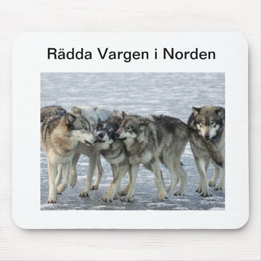 Musmatta Muismat (Voorkant)