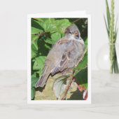 Musportret Kaart (Voorkant)