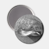 Mussel Seashell Sand Beach Magnet (Voorkant / Achterkant)
