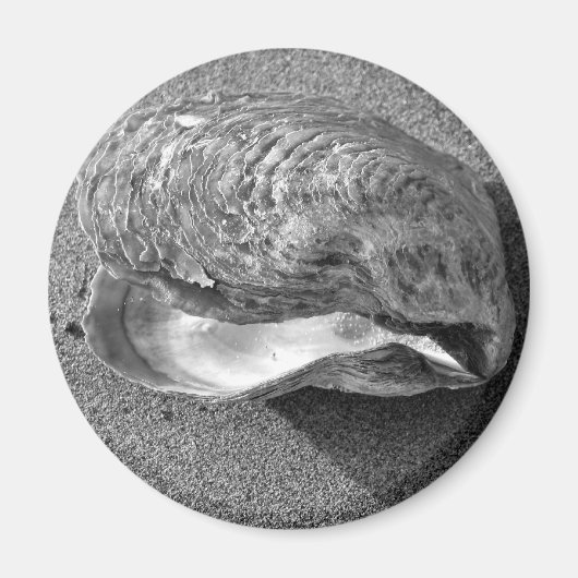 Mussel Seashell Sand Beach Magnet (Voorkant)