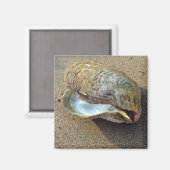 Mussel Seashell Sand Beach Magnet (Voorkant / Achterkant)